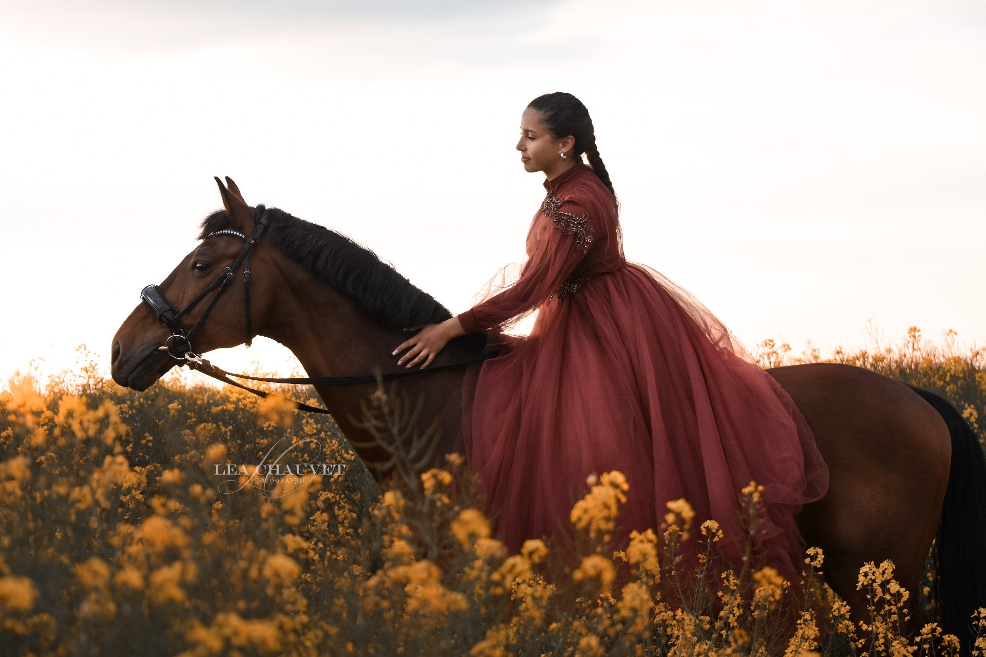 Chevaux