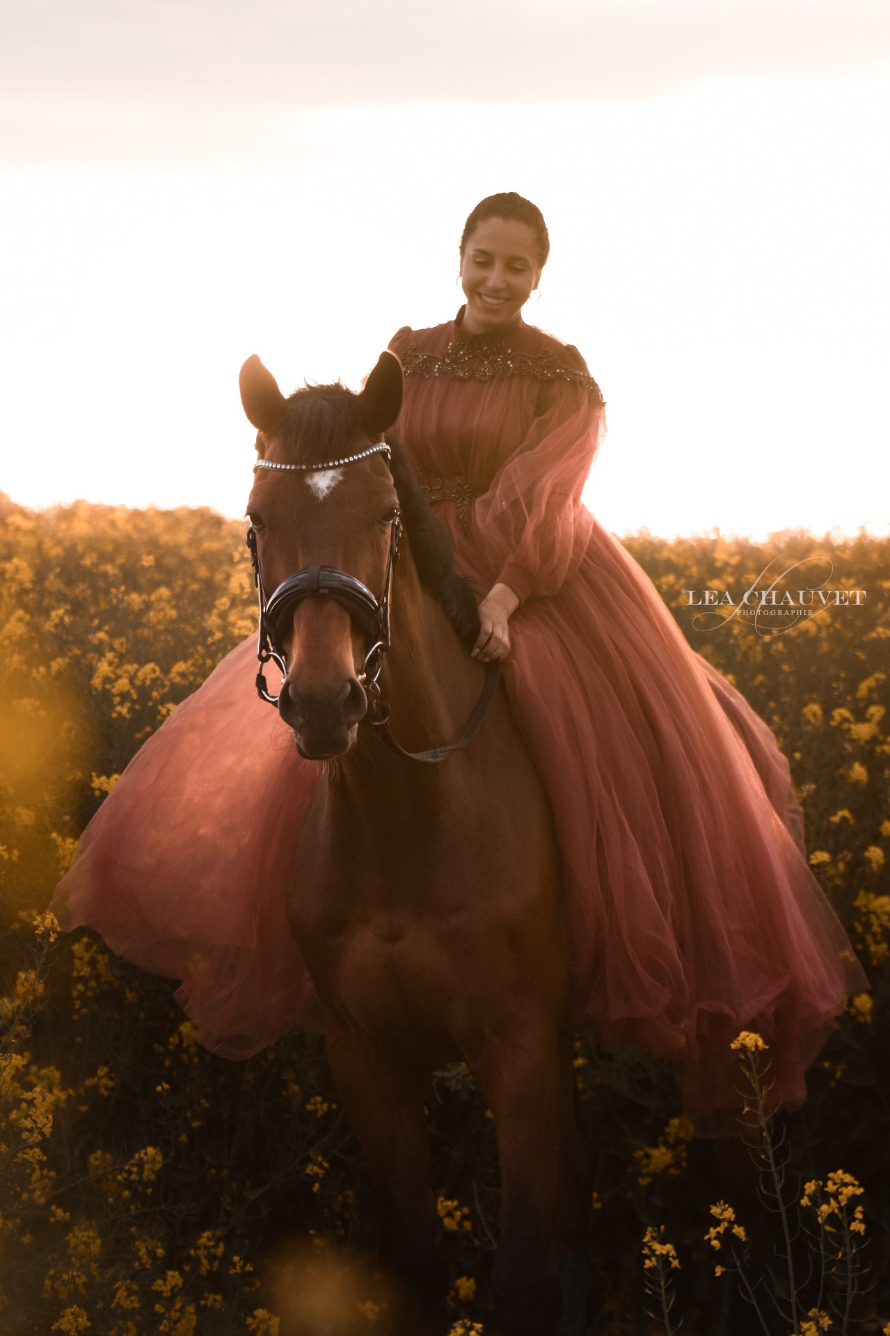Chevaux