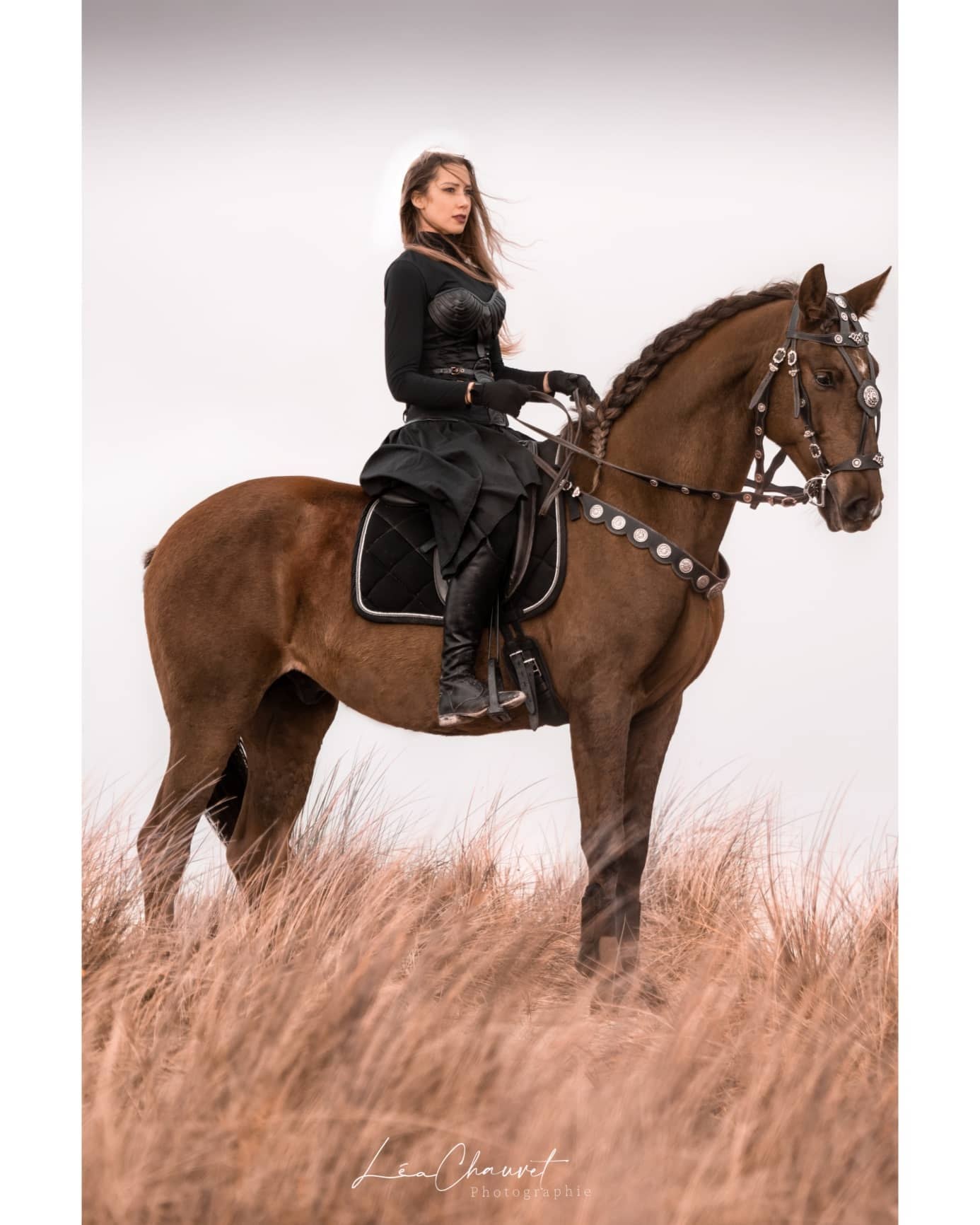 Chevaux