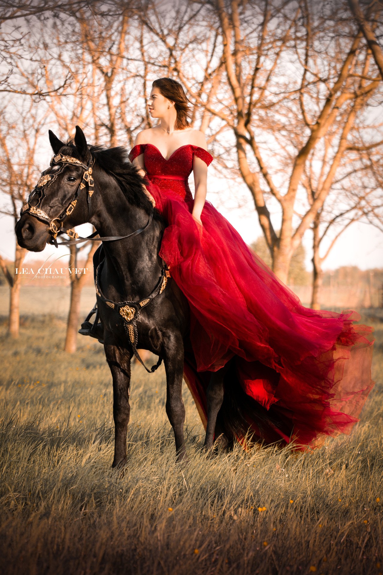 Chevaux