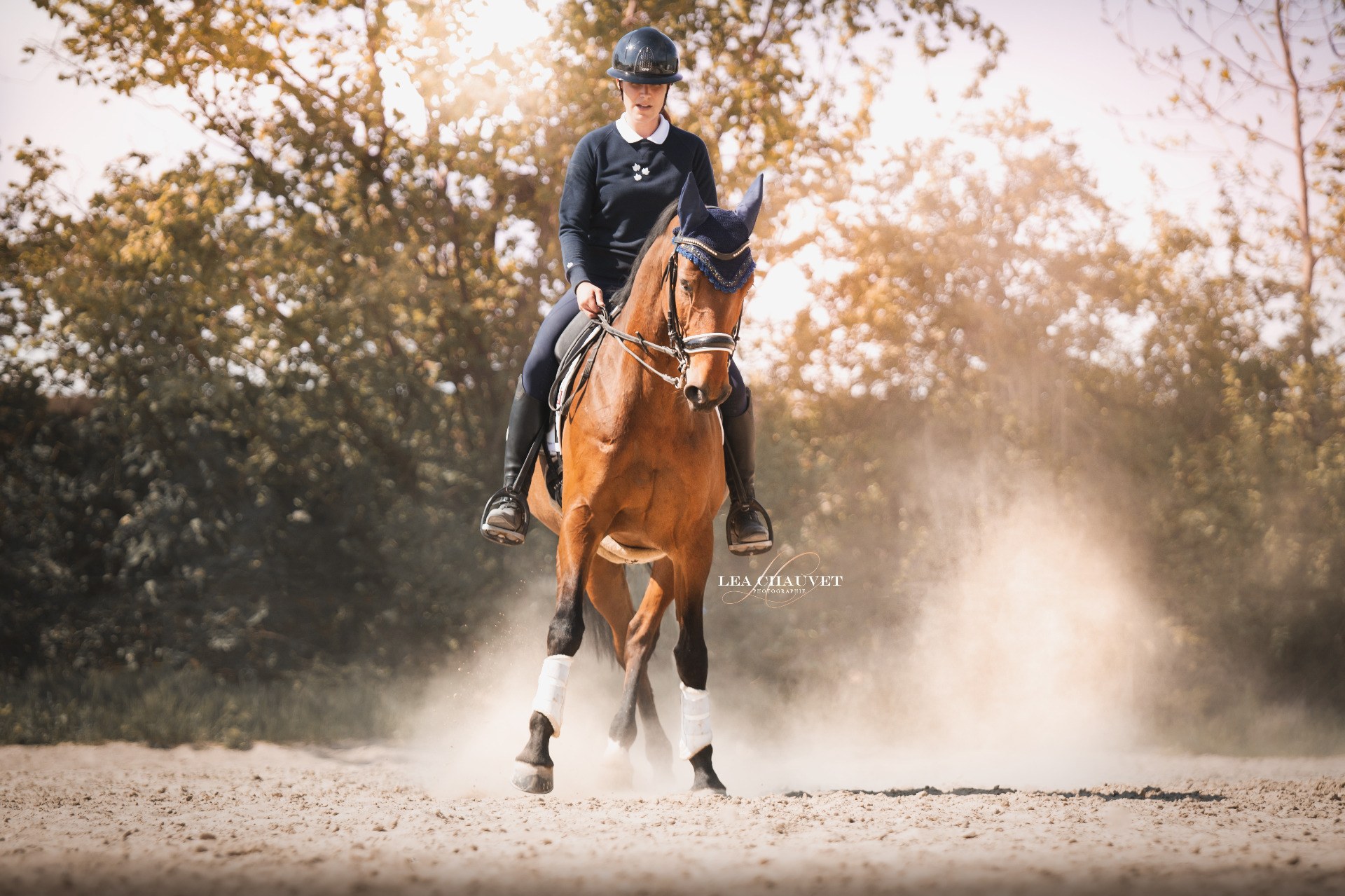 Chevaux