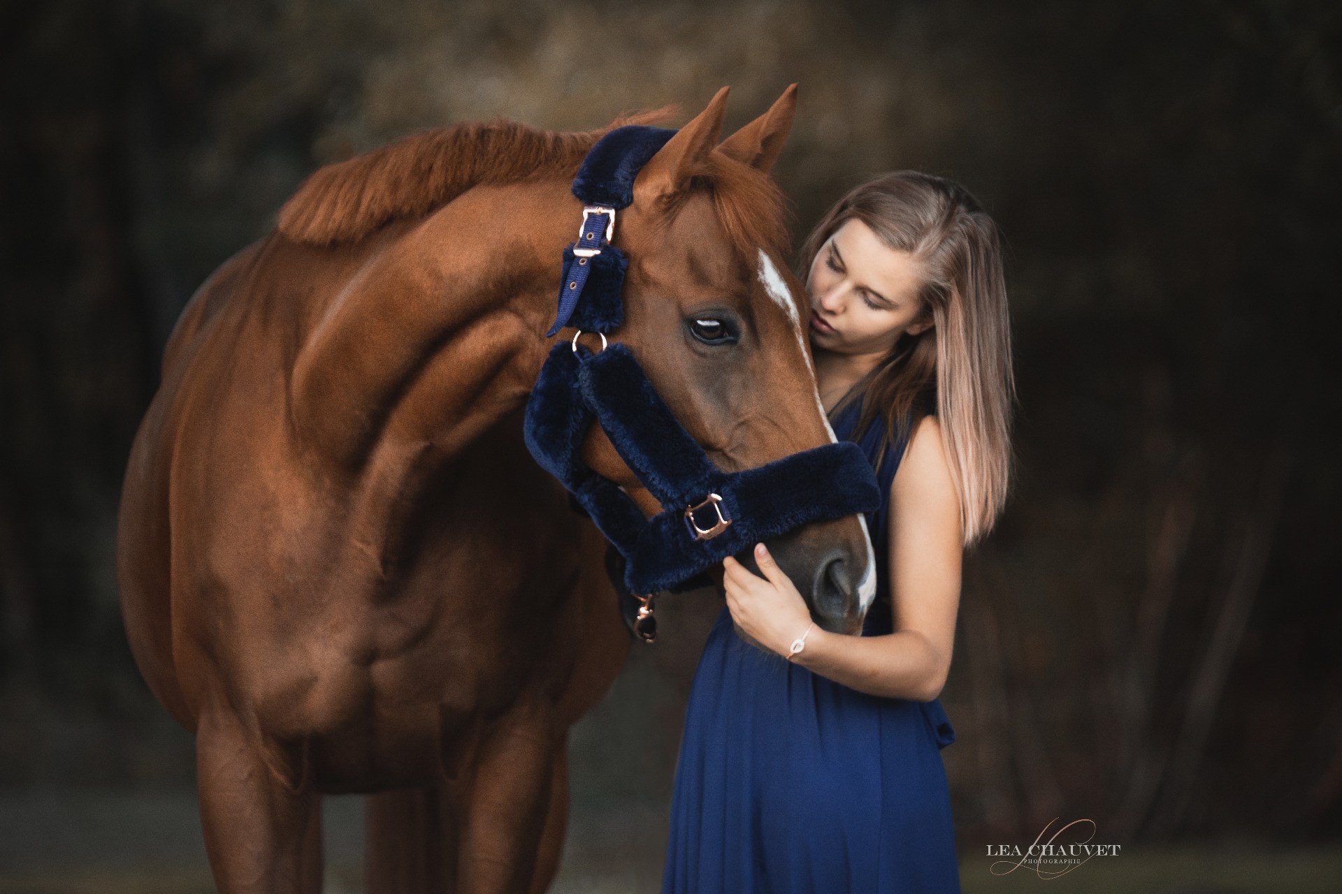 Chevaux