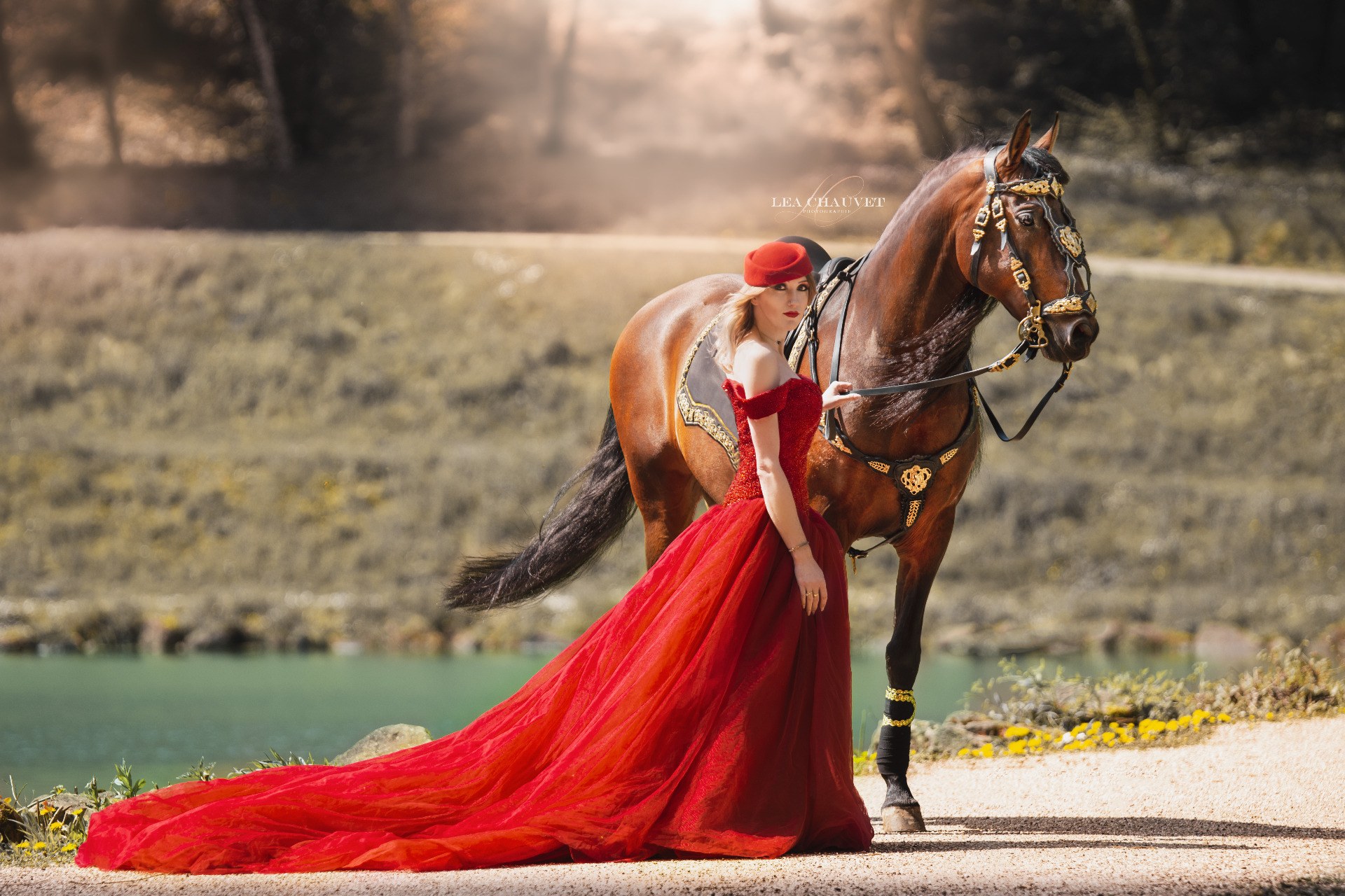 Chevaux