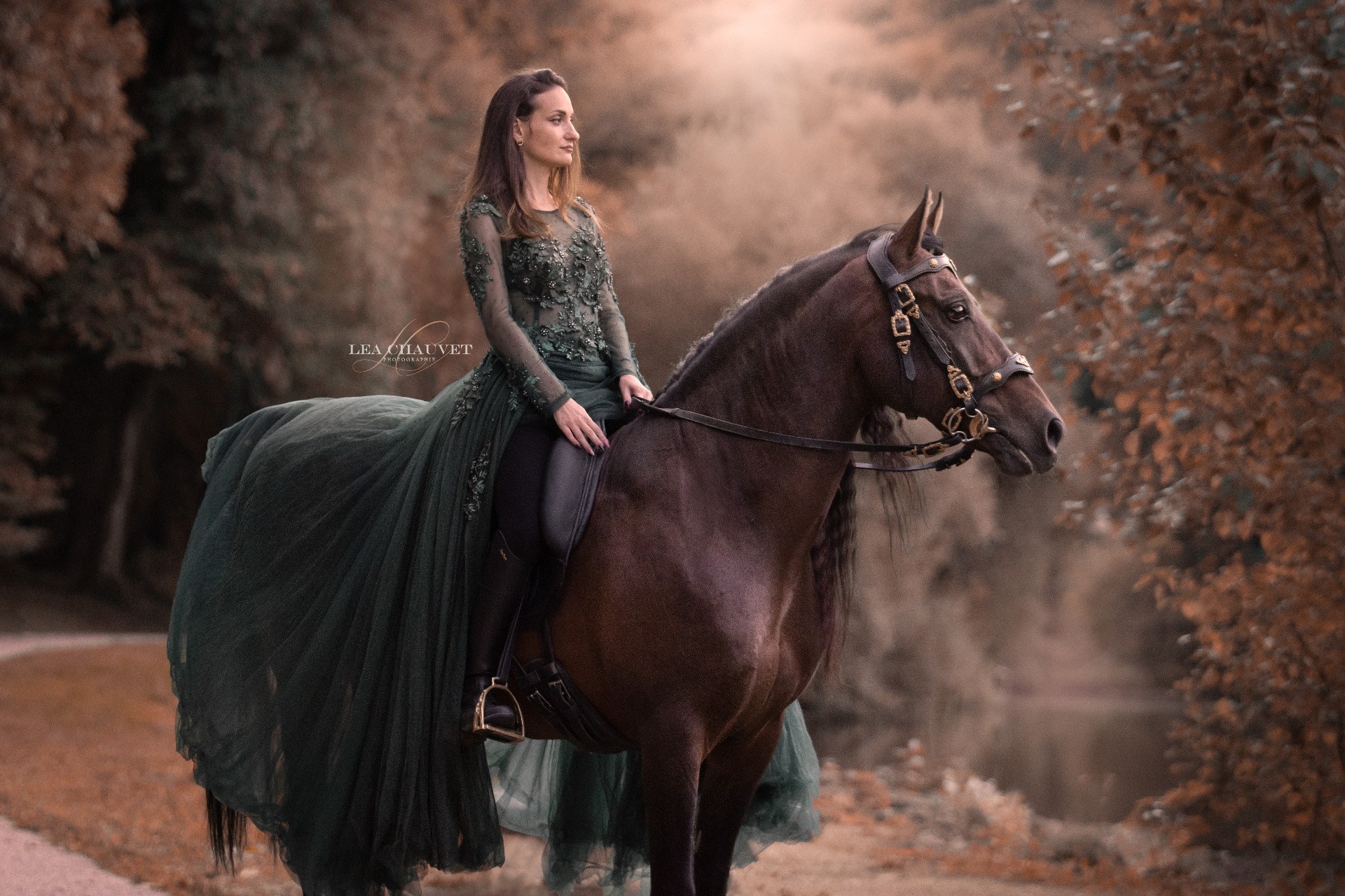 Chevaux