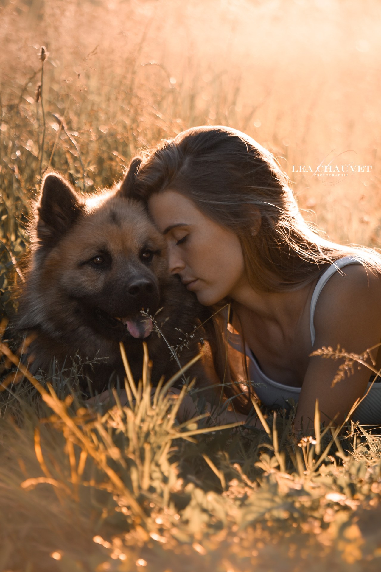 Chiens