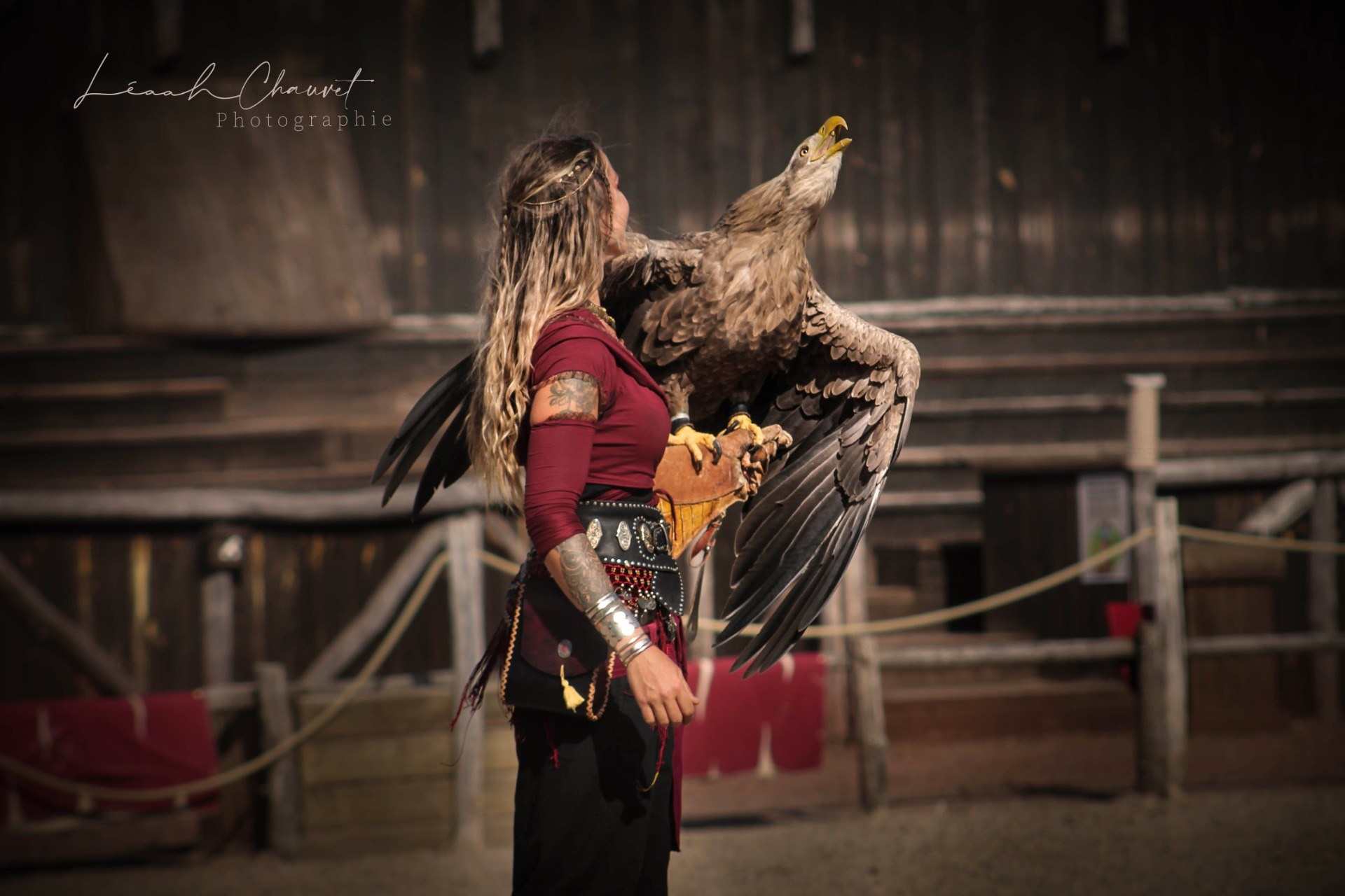 Animaux