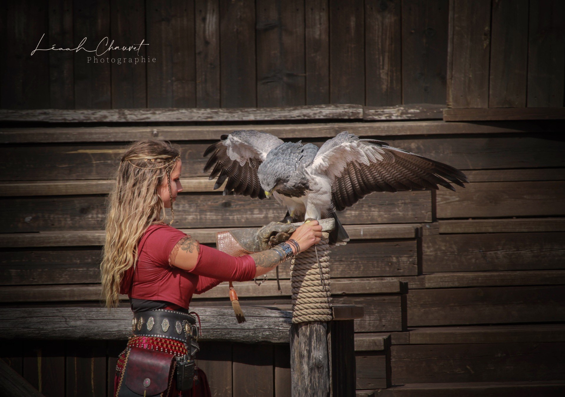 Animaux