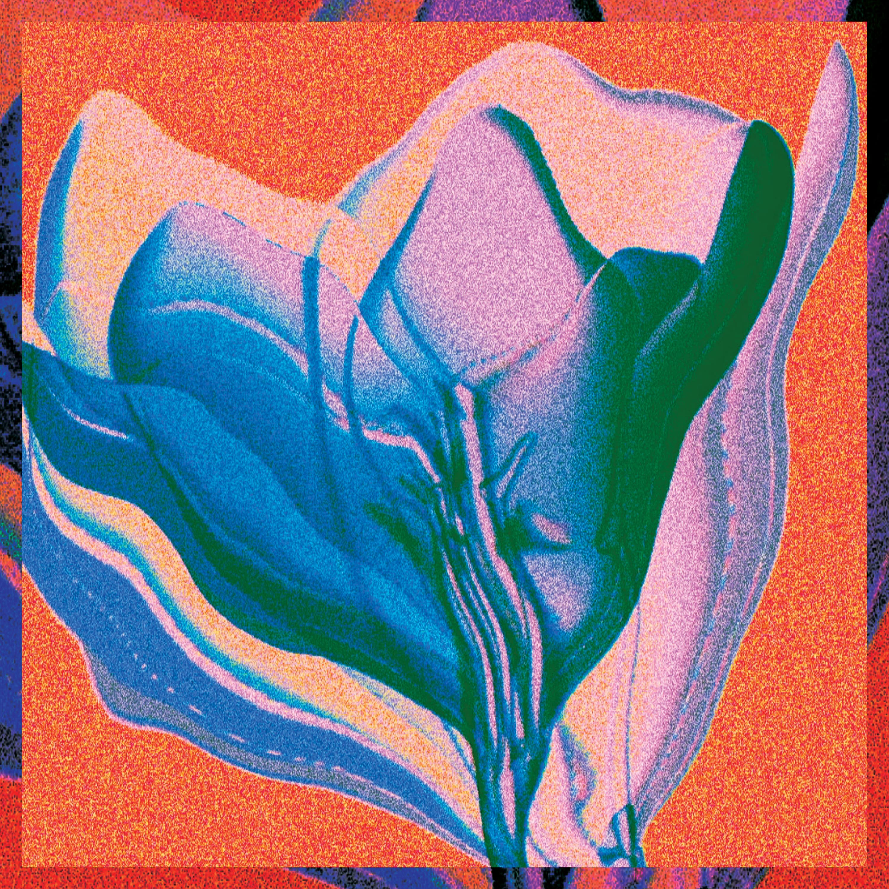 Vessel (Side to Side)