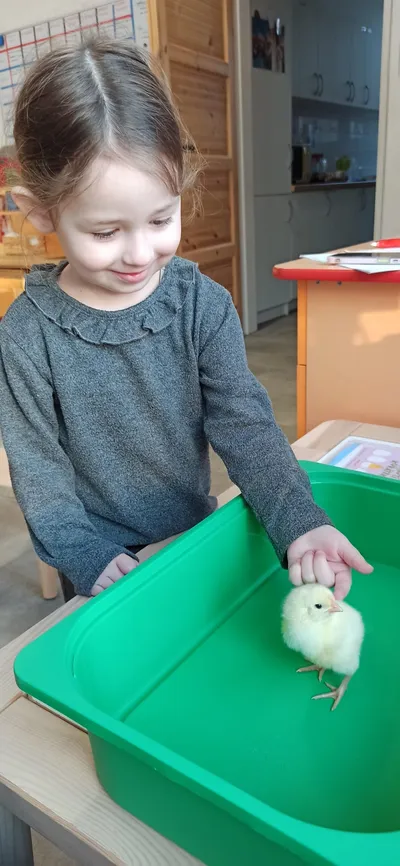 Líheň Kuřátek 9. -13. 3. 2026