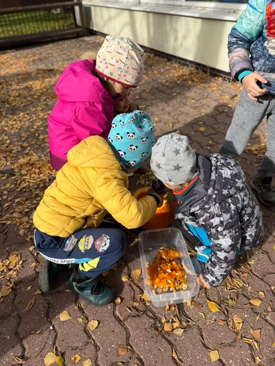 Dýňohrátky 22.10.2025 obrázek