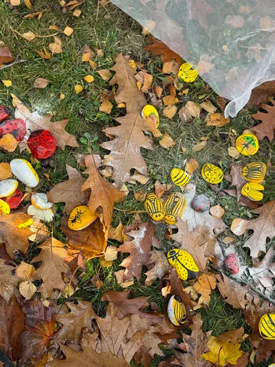 Uspávání broučků 5.11. 2025 obrázek 2