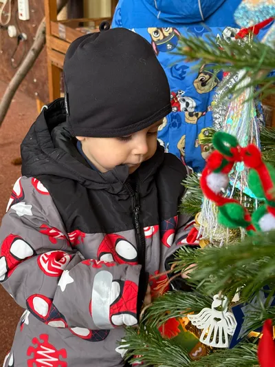 Zdobení vánočního stromečku 26.11.2025 obrázek