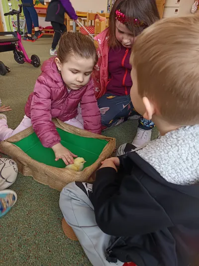 Líheň Kuřátek 9. -13. 3. 2026