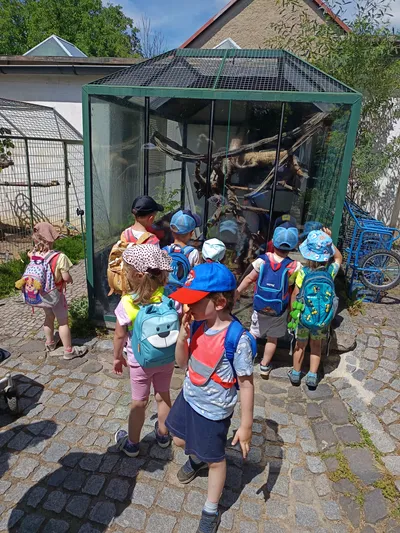 Výlet do ZOO Chleby 22.6.2026 obrázek 2