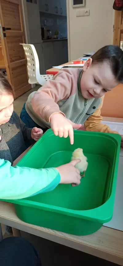 Líheň Kuřátek 9. -13. 3. 2026