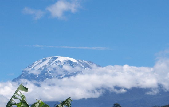 Top van de Kilimanjaro in Tanzania