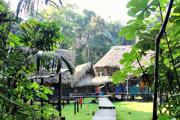 accommodatie in de jungle van de amazone in ecuador
