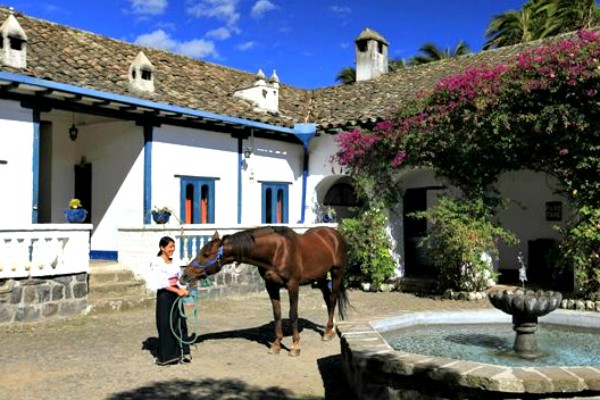 local met paard bij een hacienda in ecuador