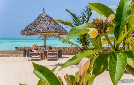 Reizigers op strandbedjes op het strand van Jambiani Zanzibar