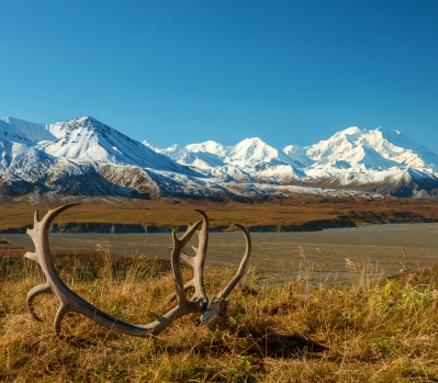 National Park uitzicht in Denali, Alaska