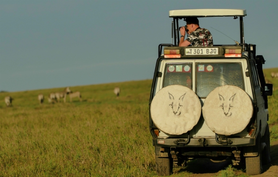 Reiziger spot wildlife vanuit auto in Manyara Tanzania