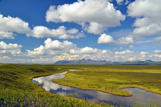 National Park rivier in Denali, Alaska