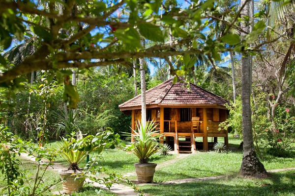 Colombo jungle overnachting in Sri Lanka