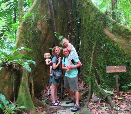 jong gezin van vier staat aan voet immense boom in jungle costa rica