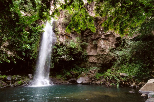 waterval omgeven door groen bij rincon