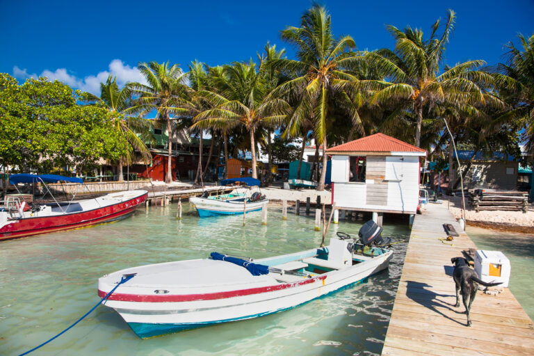 Haventje in Belize met bootjes op water, palmbomen en een hond