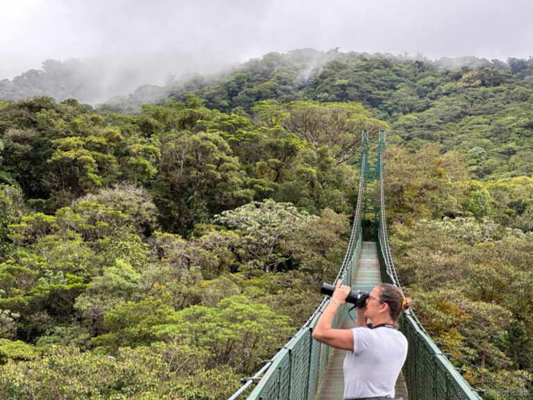 man fotografeert jungle vanaf hangbrug in boomtoppen