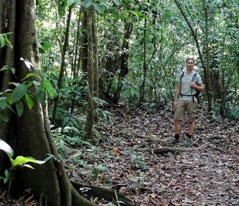 man wandelt in dichtbegroeit bos Corcovado