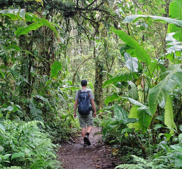 man maakt een hike over modderpaden door jungle woud Santa Elena