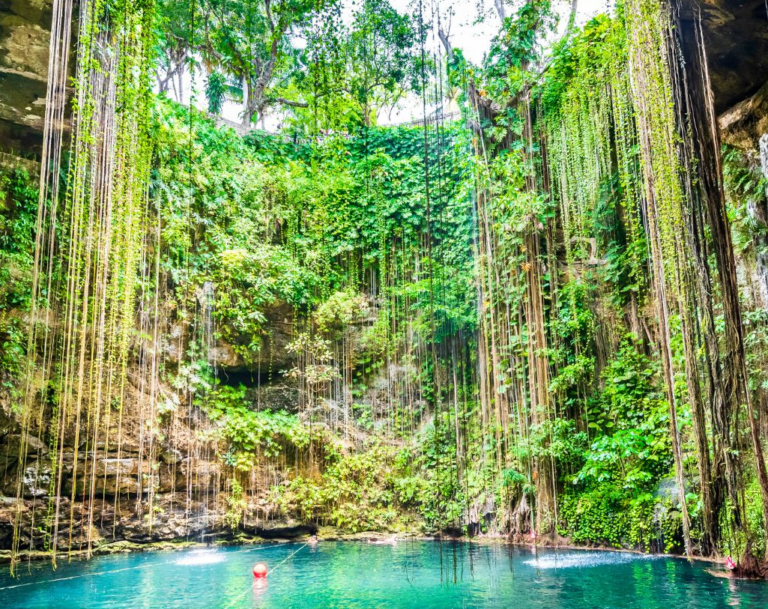 Een cenote met water en rotsen omhoog in het groen in Mexico