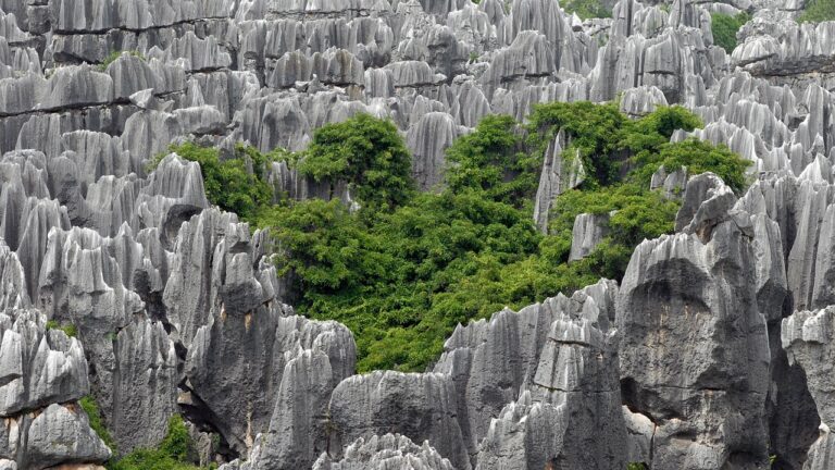 Scherpe kalksteenformaties in het Stone Forest Shilin in Kunming