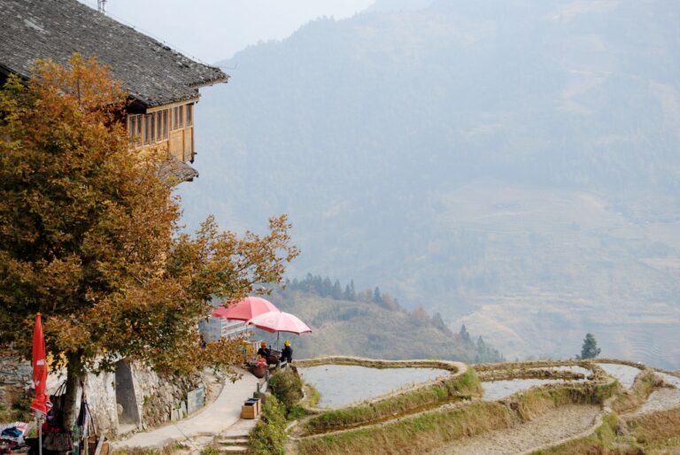 Longji-rijstterrassen in Guangxi met traditionele houten paalwoning