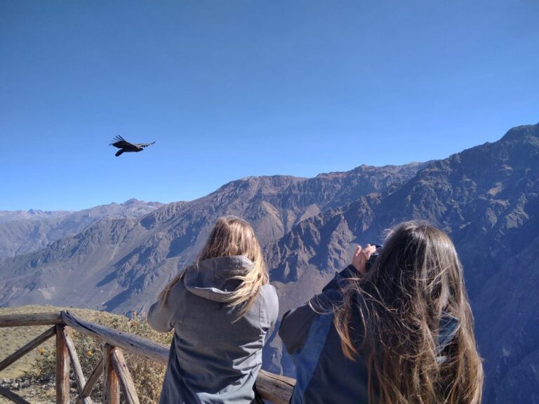 twee reizigers met een verrekijker kijkend naar een condor vogel die door de colca canyon vliegt
