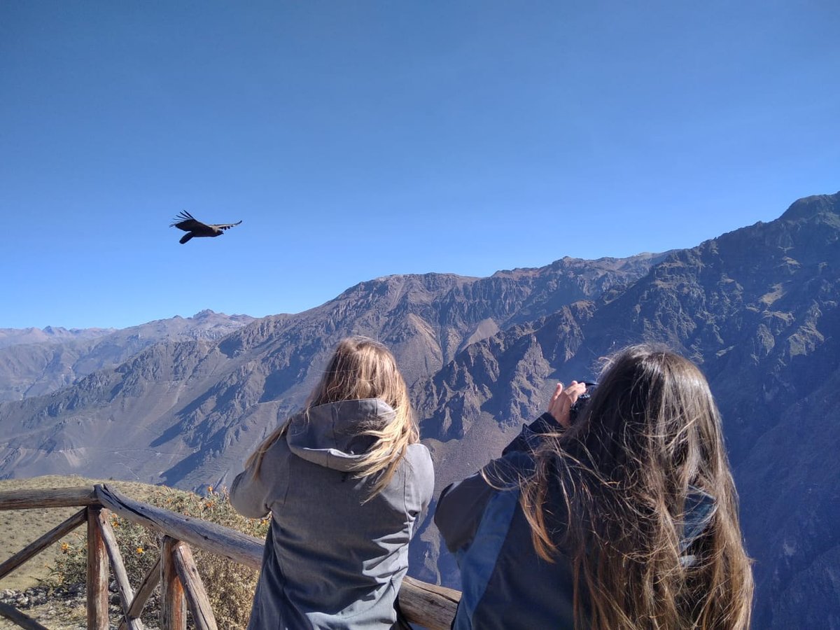 twee reizigers met een verrekijker kijkend naar een condor vogel die door de colca canyon vliegt