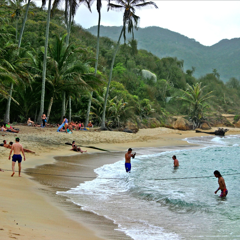 tropisch strand met palmbomen bij tayrona nationaal park