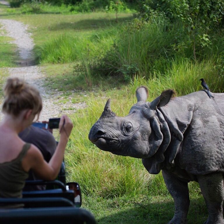 Pokhara naar de jungle van Chitwan