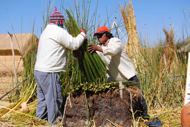 locals aan het werk tussen het riet