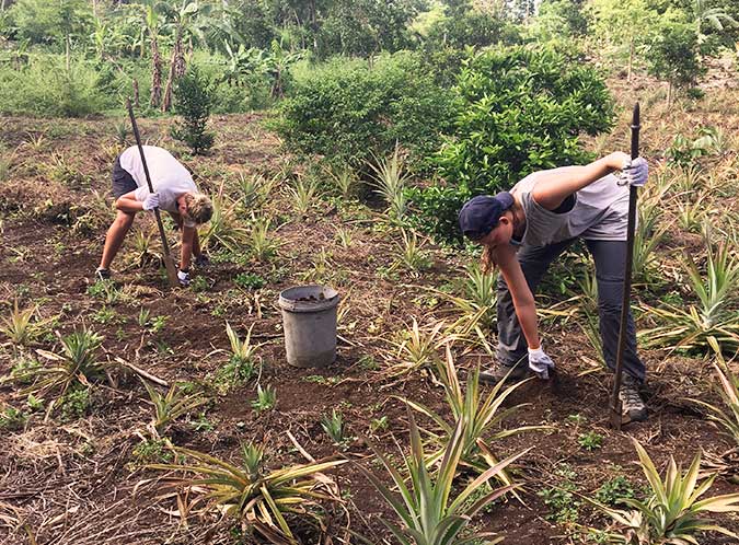 boeren aan het werk op de eco-farm galapagos