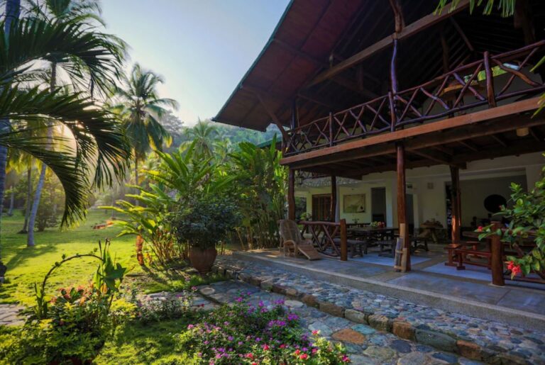 accommodatie tussen de palmbomen met terras