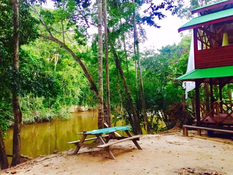 picknick tafel aan de rivier aan de voet van de fredberg in Suriname