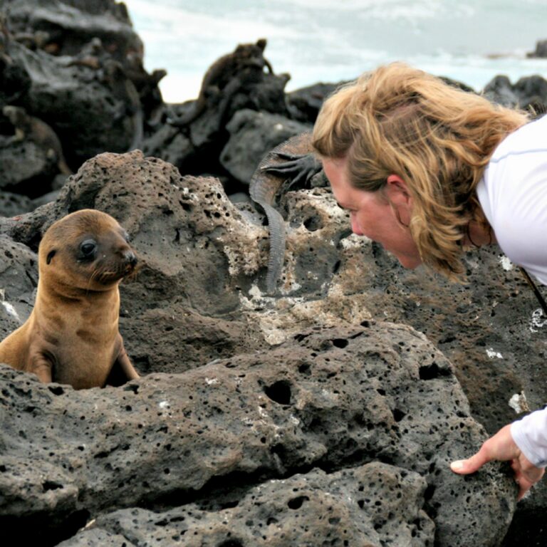 vrouw bij zeehondje op de rotsen galapagos