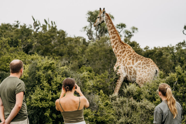 een vrouw neemt een foto van een giraffe