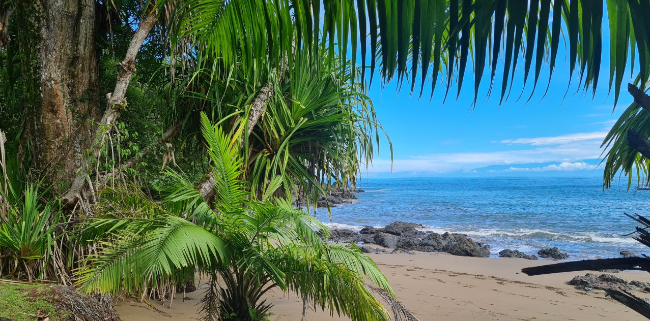 tropisch strand costa rica