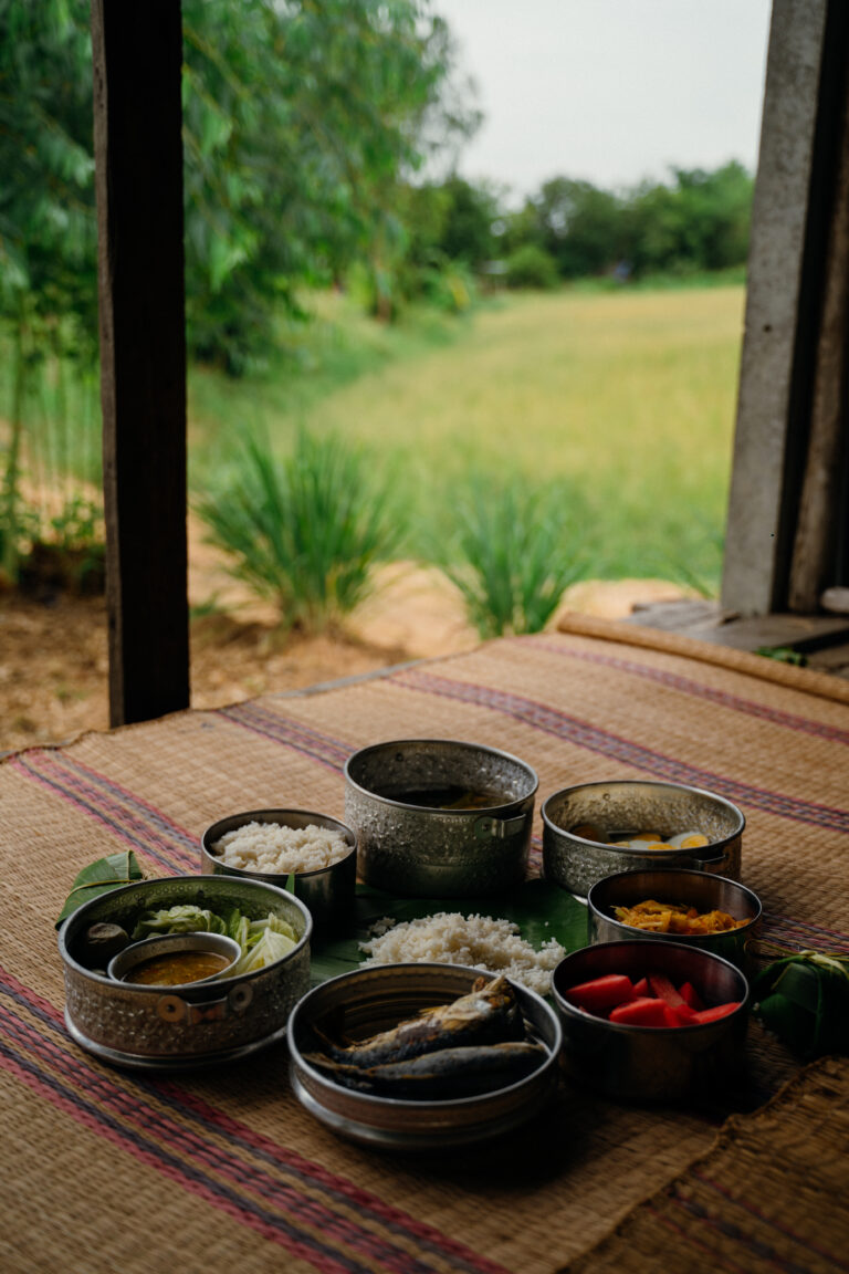 Cooked lunch in Isaan, Thailand