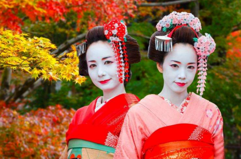 Twee Geisha's in kleurrijke traditionele kimono's omringd door rode en gele bloesems