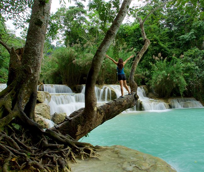 een vrouw staat op een dikke boom tak die boven een waterval hangt